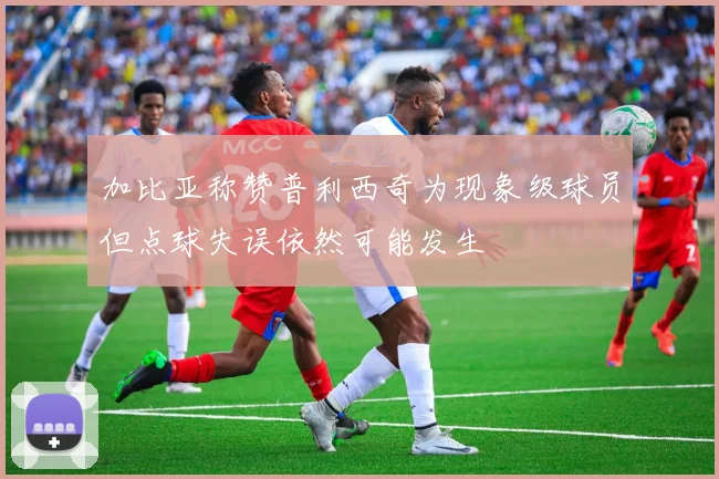 加比亚称赞普利西奇为现象级球员但点球失误依然可能发生